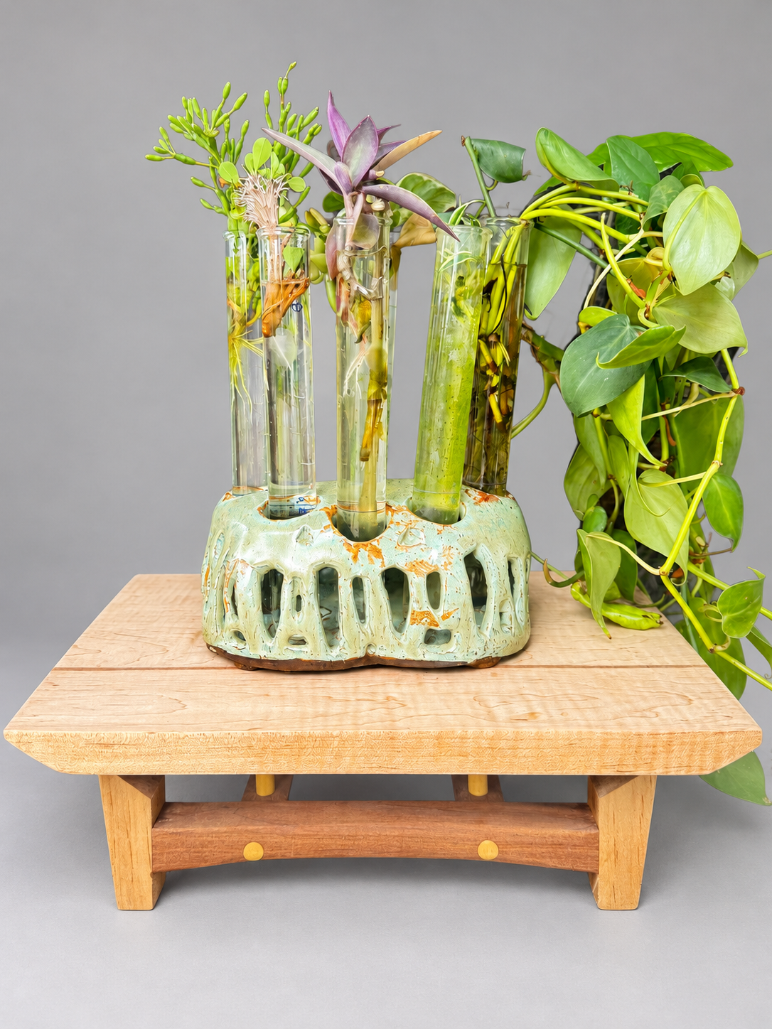 Cream and green openwork ceramic propagation stand displayed with glass tubes and trailing plant cuttings