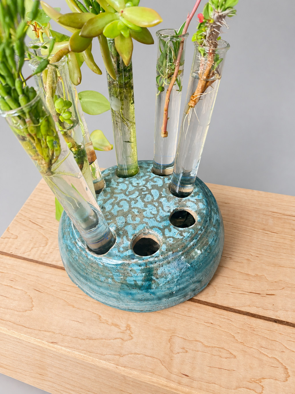 Turquoise Round Propagation Stand — angled detail with tubes and cuttings