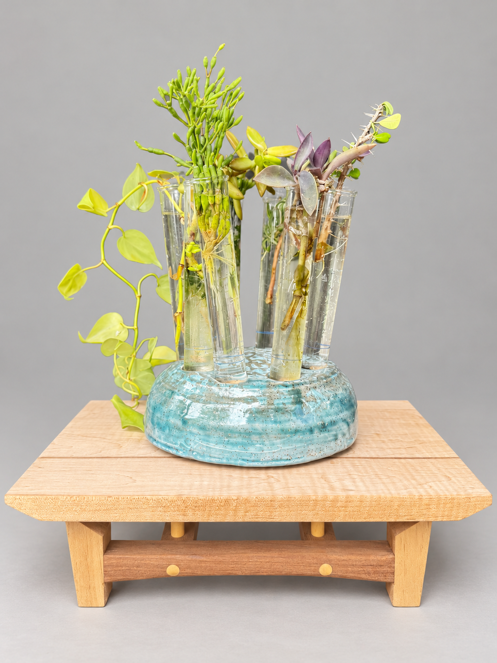 Turquoise-glazed round ceramic propagation stand displayed with glass tubes and plant cuttings